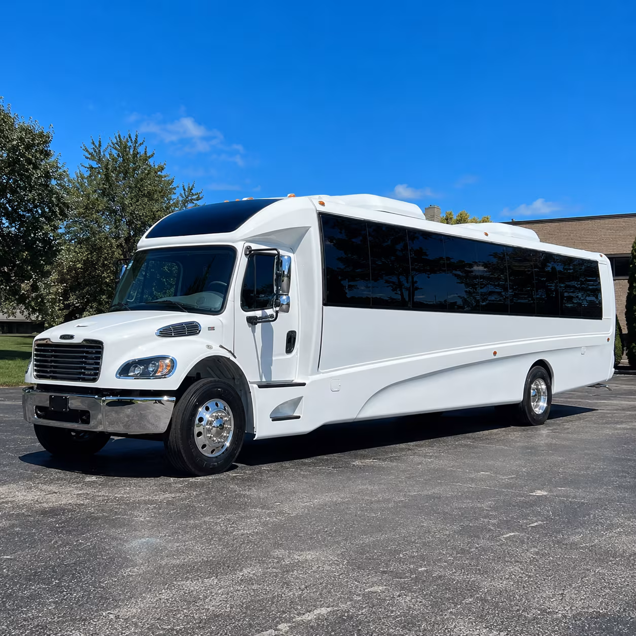lake charles 18 passenger minibus