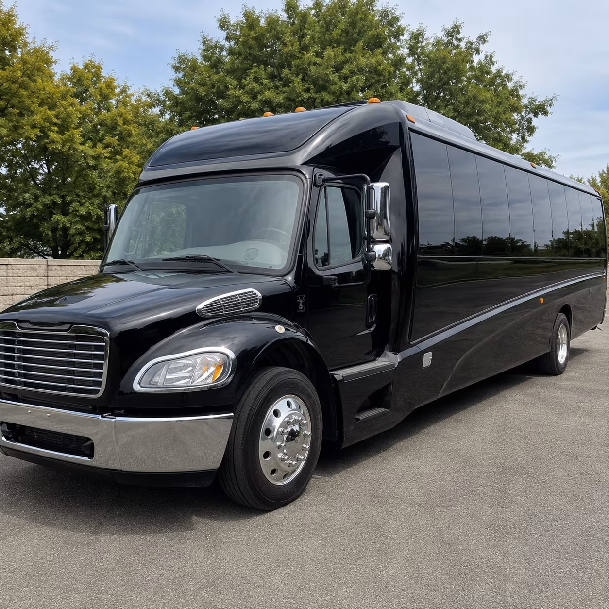 lake charles 20 passenger minibus