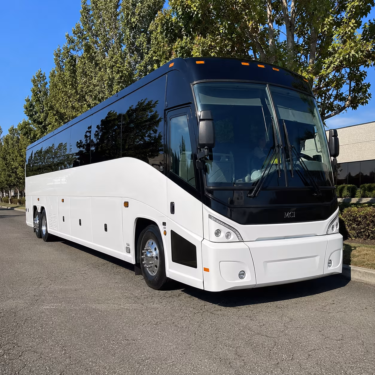 lake charles 50 passenger charter bus