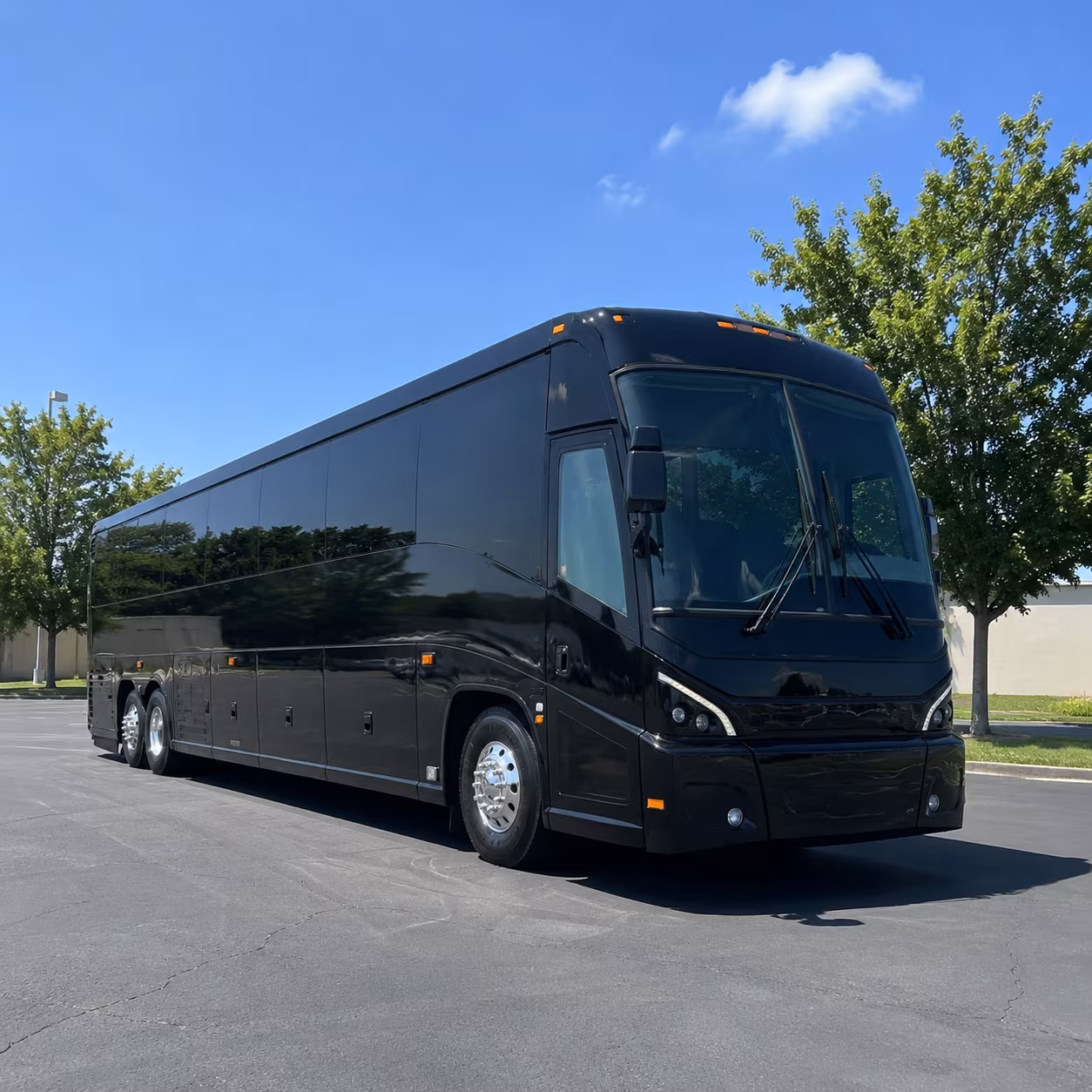 lake charles 56 passenger charter bus